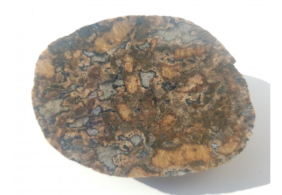 Niezwykły eratyk, Orzechowo - pobrzeże Bałtyku