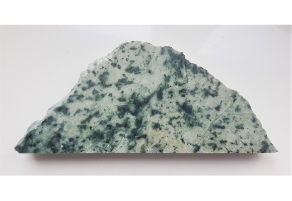 Biała odmiana żmijowca z Nasławic