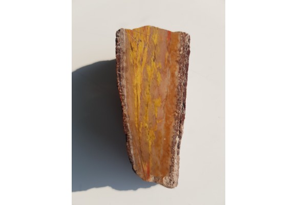 Tygrysie oko z Różanej k. Nowego Kościoła