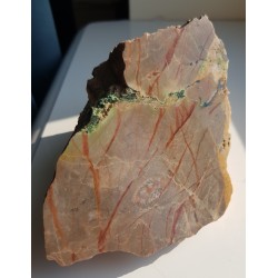 Malachit i koral w wapieniu dewońskim z Miedzianki w G. Świętokrzyskich