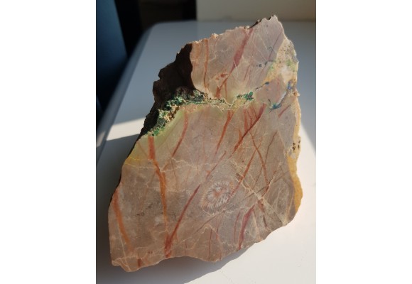 Malachit i koral w wapieniu dewońskim z Miedzianki w G. Świętokrzyskich