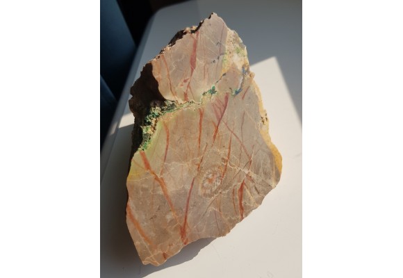 Malachit i koral w wapieniu dewońskim z Miedzianki w G. Świętokrzyskich