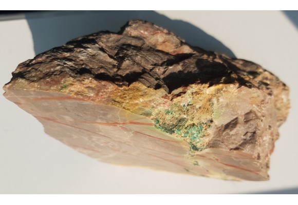 Malachit i koral w wapieniu dewońskim z Miedzianki w G. Świętokrzyskich