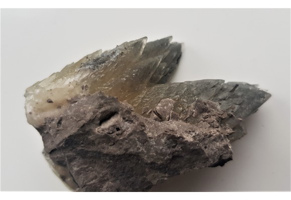 Unikatowe kryształy zielonego kalcytu z pirytem z Lubina