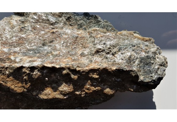 Dysten z Kamieńca Ząbkowickiego