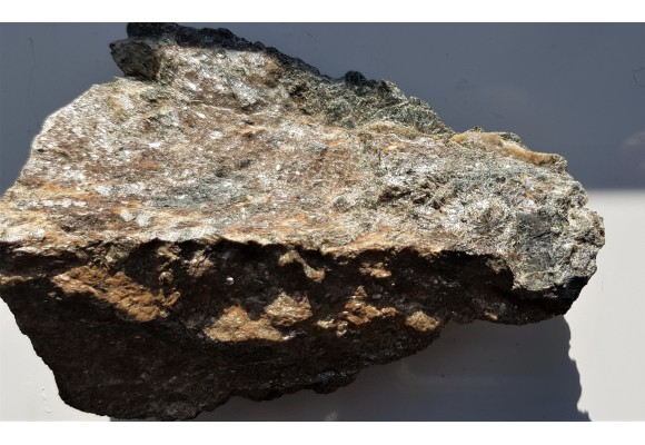 Dysten z Kamieńca Ząbkowickiego