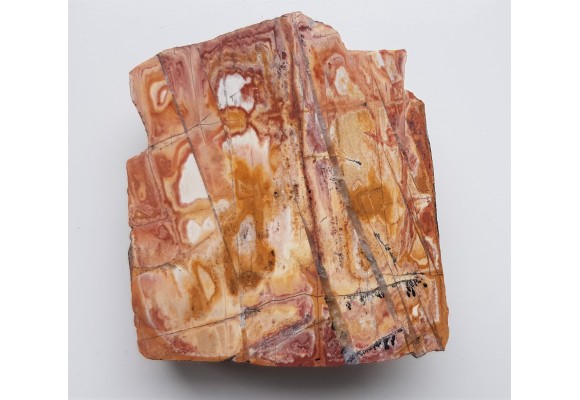 Polerowany okaz ozdobnego łupku kwarcowo-serycytowego z okolic Żarowa