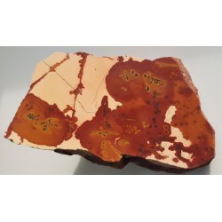 Pseudojaspis pejzażowy z Sudetów