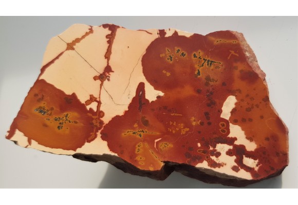 Pseudojaspis pejzażowy z Sudetów