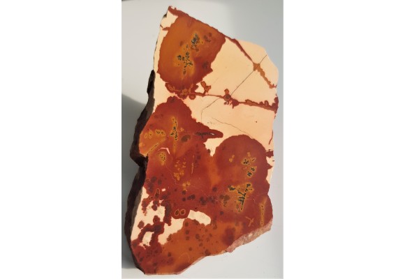 Pseudojaspis pejzażowy z Sudetów