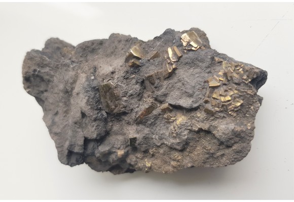 Kryształy pirytu w łupku węglowym z kopalni Szczygłowice