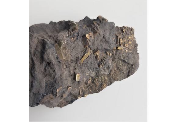 Kryształy pirytu w łupku węglowym z kopalni Szczygłowice