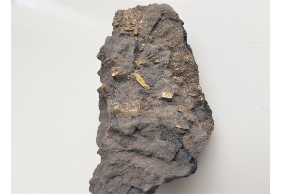 Kryształy pirytu w łupku węglowym z kopalni Szczygłowice