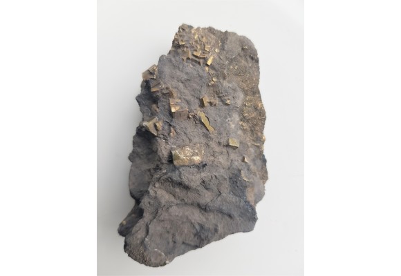 Kryształy pirytu w łupku węglowym z kopalni Szczygłowice