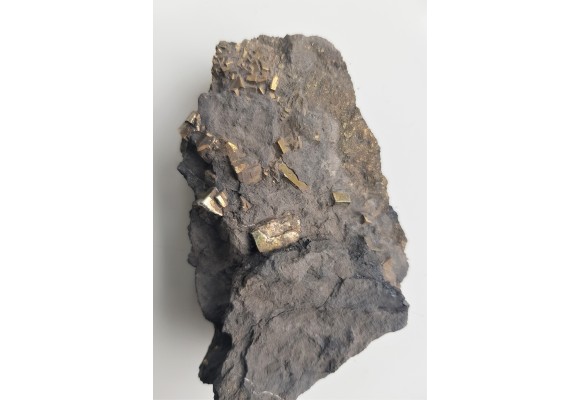 Kryształy pirytu w łupku węglowym z kopalni Szczygłowice