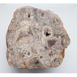 Skała agatowo-chalcedonowa z Sokoli k. Bolkowa