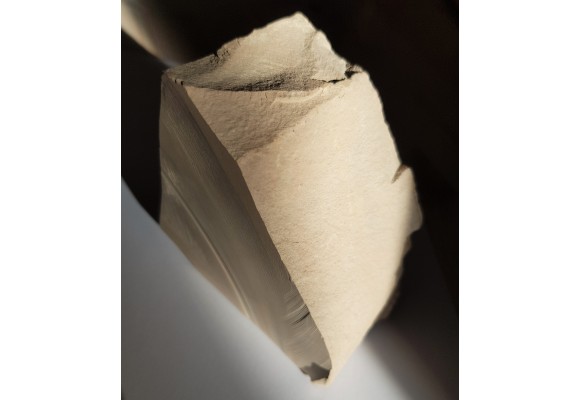 Diatomit z Jawornika Ruskiego, powiat przemyski