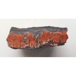 Żyła czerwonego chalcedonu z Czerwieńczyc