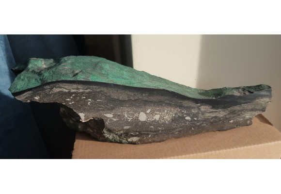 Wyjątkowy okaz z KGHM - malachit, chalkozyn, ramienionogi w dolomicie