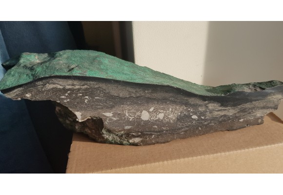 Wyjątkowy okaz z KGHM - malachit, chalkozyn, ramienionogi w dolomicie