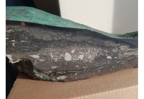 Wyjątkowy okaz z KGHM - malachit, chalkozyn, ramienionogi w dolomicie