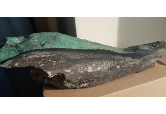 Wyjątkowy okaz z KGHM - malachit, chalkozyn, ramienionogi w dolomicie