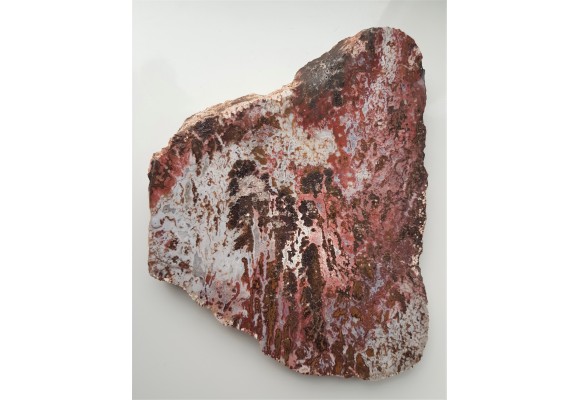 Wspaniały, kontrastowy jaspis dendrytowy z Sokołowca