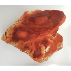 Karneol z aluwiów Nysy Kłodzkiej, zb. Pilce