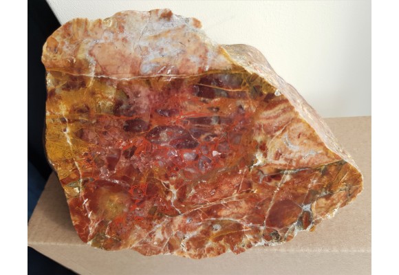 Wielobarwny jaspiso-agat runowy z Bolesławca