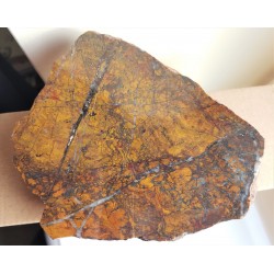 Żółty jaspis z kulmu niecki śródsudeckiej, okolice Starych Bogaczowic