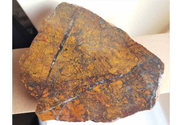 Żółty jaspis z kulmu niecki śródsudeckiej, okolice Starych Bogaczowic