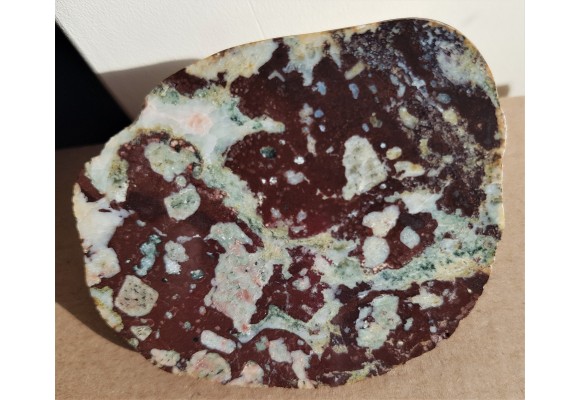 Migdałowiec obszaru obecnego dna Bałtyku, eratyk, Kołobrzeg