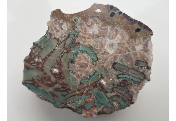 Jaspisoid ruinowy z Lubiechowej w Sudetach