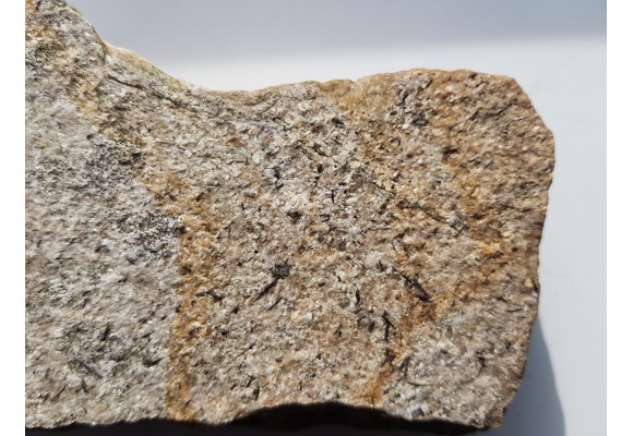 Brązowe, igiełkowate kryształy turmalinu na kwarcycie z Romanowa k. Strzelina