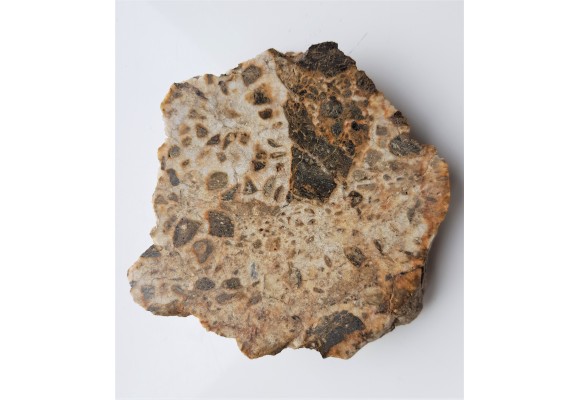 Brekcja polerowana z Gębczyc k. Strzelina