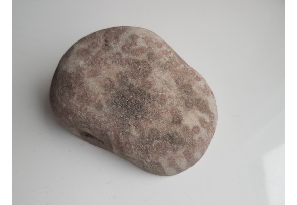 Polerowany okaz piaskowca skolitusowego z Dźwirzyna