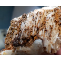 Baryt z Boguszowa-Gorc