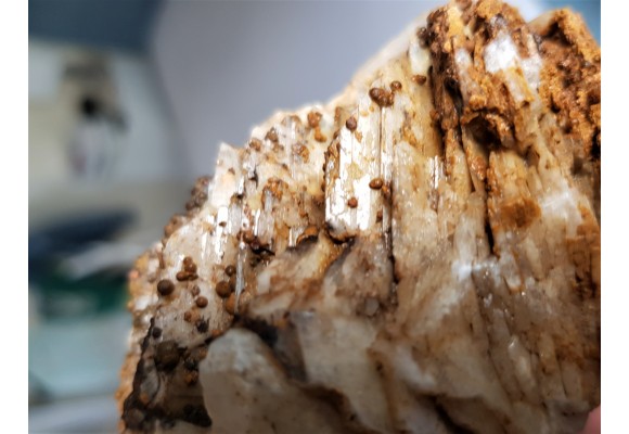 Baryt z Boguszowa-Gorc