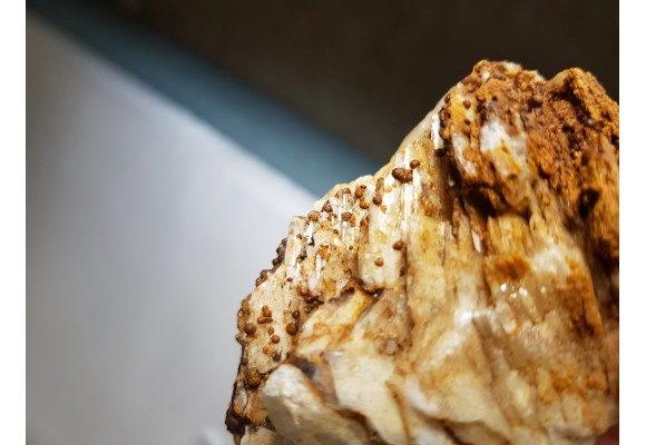 Baryt z Boguszowa-Gorc