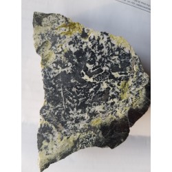 Hornblenda, magnetyt oraz serpofit z Kowar