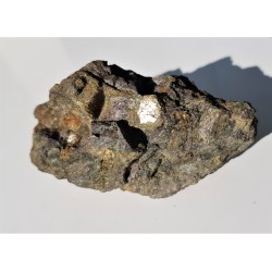 Ciemny łupek przerośnięty licznymi kryształami pirytu z Rędzin k. Kamiennej Góry