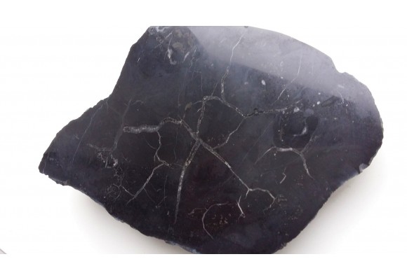 Wyjątkowa, czarna septaria z wapieni dewońskich niecki śródsudeckiej