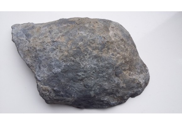 Wyjątkowa, czarna septaria z wapieni dewońskich niecki śródsudeckiej