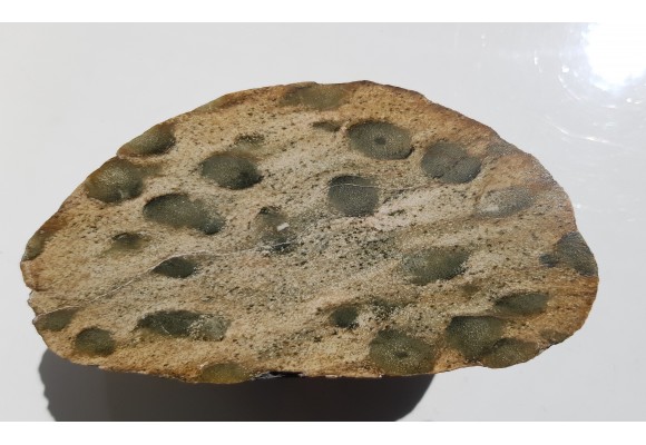 Skała z wyrazistymi nodulami, eratyk, lubuskie