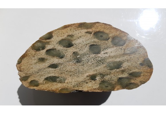 Skała z wyrazistymi nodulami, eratyk, lubuskie