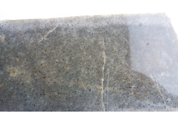 Lamprofir z Tąpadeł koło Sobótki