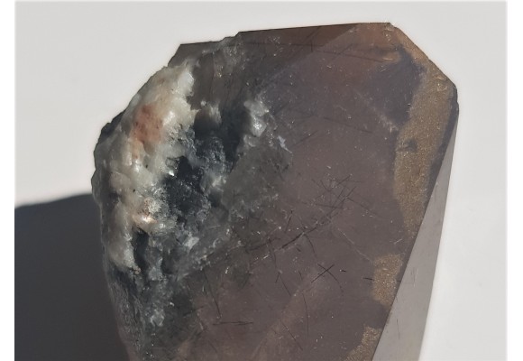 Kwarc dymny z bardzo licznymi wrostkami turmalinów ze Strzegomia