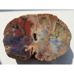 Agat "rzeczny" z Bobru w Sudetach (river agate)