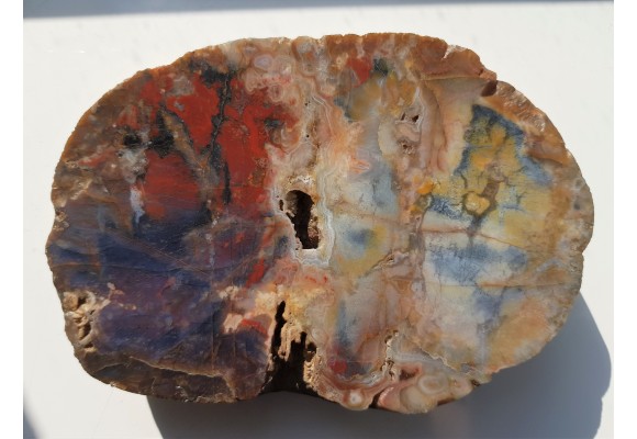 Agat "rzeczny" z Bobru w Sudetach (river agate)