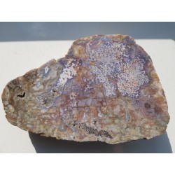 Agat "rzeczny" z Bobru w Sudetach (river agate)